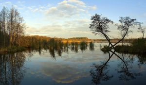 Preview wallpaper river, coast, trees, reflection, day