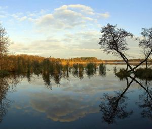 Preview wallpaper river, coast, trees, reflection, day