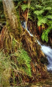 Preview wallpaper river, creek, nature