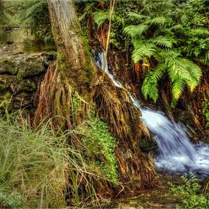 Preview wallpaper river, creek, nature