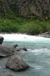 Preview wallpaper river, current, people, tourists, stones, trees, day