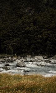 Preview wallpaper river, current, stones, trees, grass