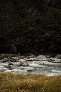 Preview wallpaper river, current, stones, trees, grass