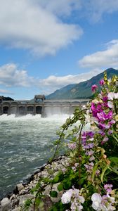 Preview wallpaper river, dam, mountains, flowers, landscape