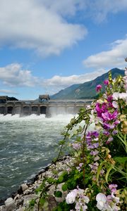 Preview wallpaper river, dam, mountains, flowers, landscape