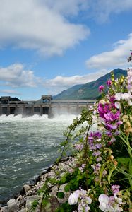 Preview wallpaper river, dam, mountains, flowers, landscape