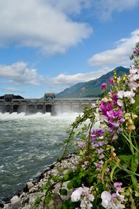 Preview wallpaper river, dam, mountains, flowers, landscape