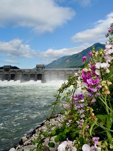 Preview wallpaper river, dam, mountains, flowers, landscape