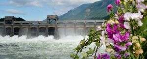 Preview wallpaper river, dam, mountains, flowers, landscape