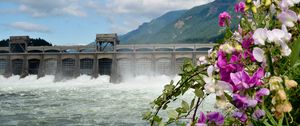 Preview wallpaper river, dam, mountains, flowers, landscape