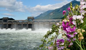 Preview wallpaper river, dam, mountains, flowers, landscape
