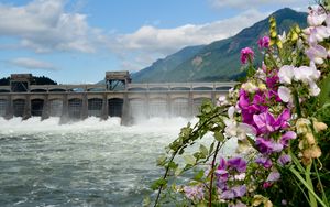 Preview wallpaper river, dam, mountains, flowers, landscape