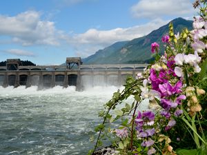 Preview wallpaper river, dam, mountains, flowers, landscape