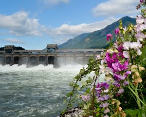 Preview wallpaper river, dam, mountains, flowers, landscape
