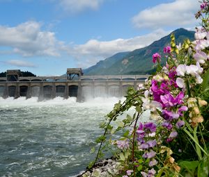 Preview wallpaper river, dam, mountains, flowers, landscape
