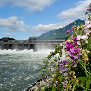 Preview wallpaper river, dam, mountains, flowers, landscape