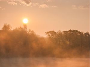 Preview wallpaper river, duck, trees, fog, sunrise