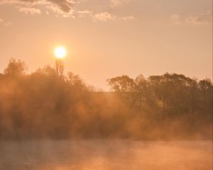 Preview wallpaper river, duck, trees, fog, sunrise