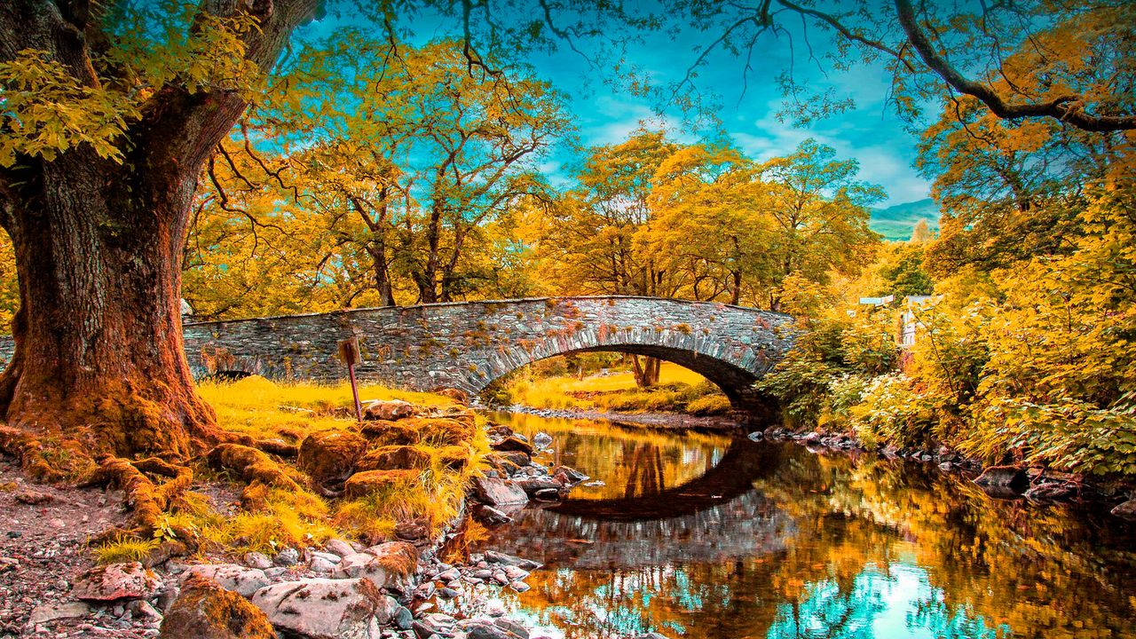 Wallpaper river, fall, pond, grass, trees