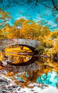 Preview wallpaper river, fall, pond, grass, trees