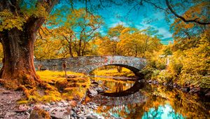 Preview wallpaper river, fall, pond, grass, trees