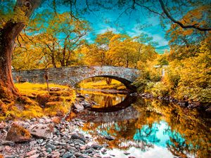 Preview wallpaper river, fall, pond, grass, trees