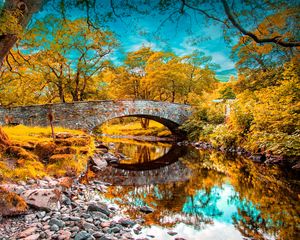 Preview wallpaper river, fall, pond, grass, trees