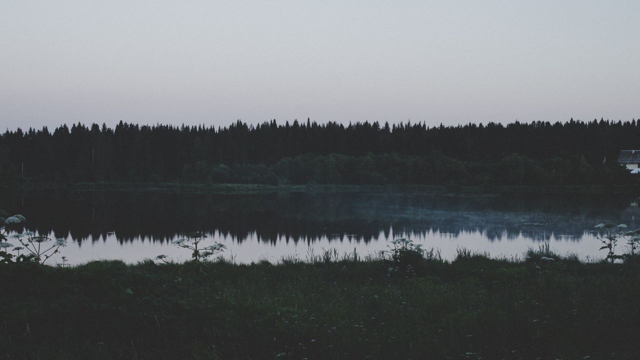 Wallpaper river, field, grass, trees, evening