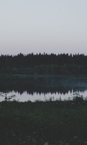 Preview wallpaper river, field, grass, trees, evening