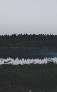 Preview wallpaper river, field, grass, trees, evening