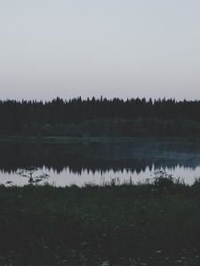 Preview wallpaper river, field, grass, trees, evening