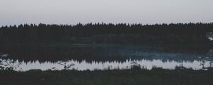 Preview wallpaper river, field, grass, trees, evening