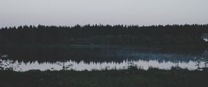 Preview wallpaper river, field, grass, trees, evening