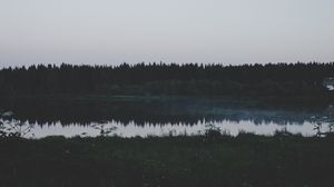 Preview wallpaper river, field, grass, trees, evening