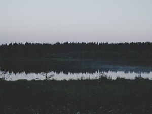 Preview wallpaper river, field, grass, trees, evening