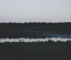 Preview wallpaper river, field, grass, trees, evening