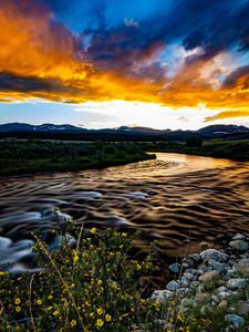 Preview wallpaper river, field, sunset, nature, landscape