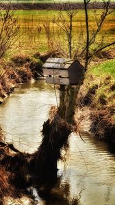 Preview wallpaper river, field, tree, birdhouse