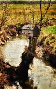 Preview wallpaper river, field, tree, birdhouse