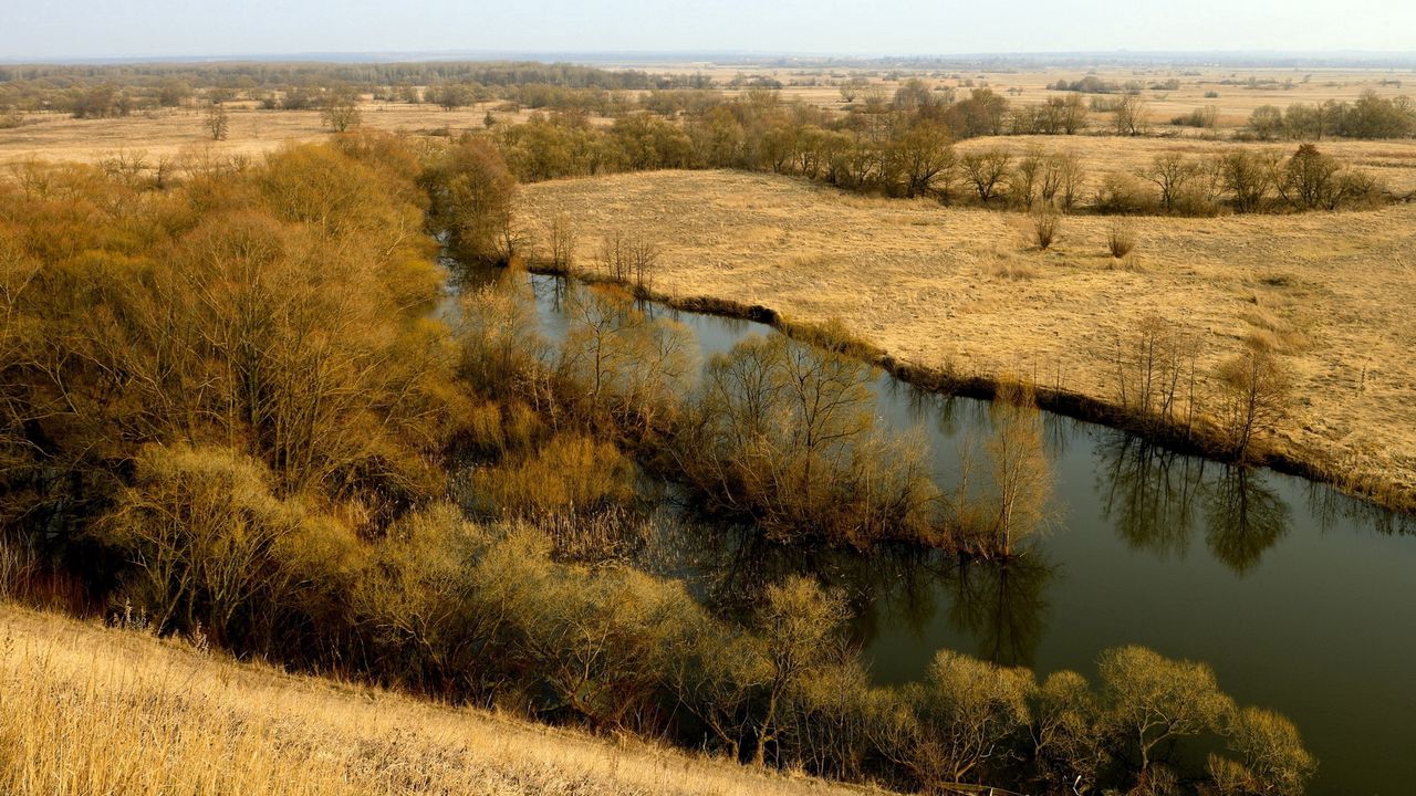 Wallpaper river, fields, autumn, russia, day
