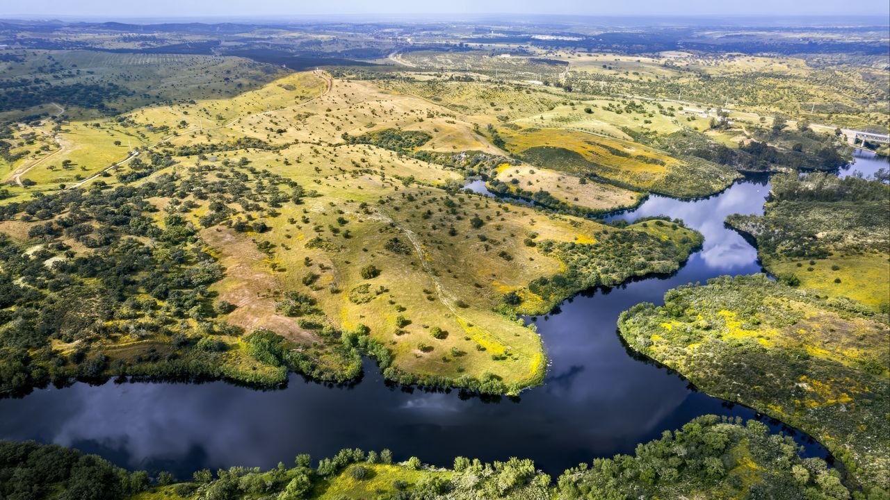 Wallpaper river, fields, trees, aerial view, nature