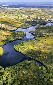 Preview wallpaper river, fields, trees, aerial view, nature