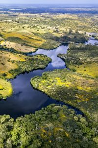 Preview wallpaper river, fields, trees, aerial view, nature