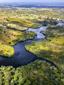 Preview wallpaper river, fields, trees, aerial view, nature