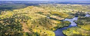 Preview wallpaper river, fields, trees, aerial view, nature