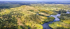 Preview wallpaper river, fields, trees, aerial view, nature