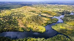 Preview wallpaper river, fields, trees, aerial view, nature