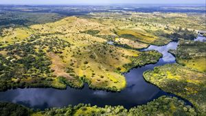 Preview wallpaper river, fields, trees, aerial view, nature