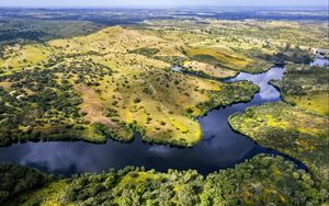 Preview wallpaper river, fields, trees, aerial view, nature