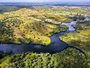 Preview wallpaper river, fields, trees, aerial view, nature